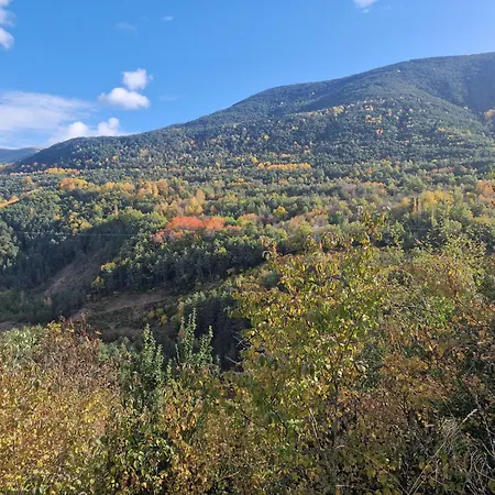 Rincon Del Valle-gavin2 * Gavín